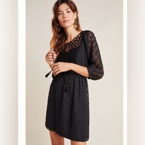 Anthropologie Heloise Lace Mini Dress